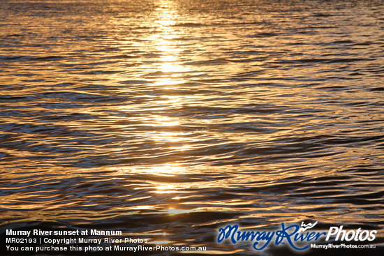 Murray River sunset at Mannum