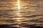 Murray River sunset at Mannum