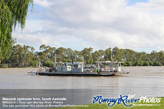 Mannum upstream ferry, South Australia