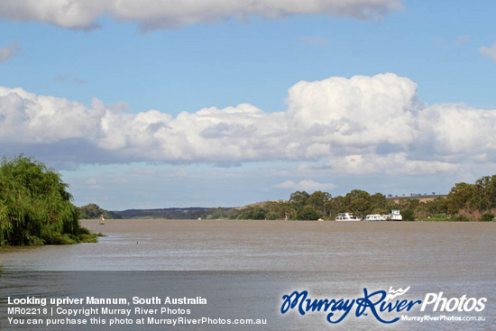 Looking upriver Mannum, South Australia