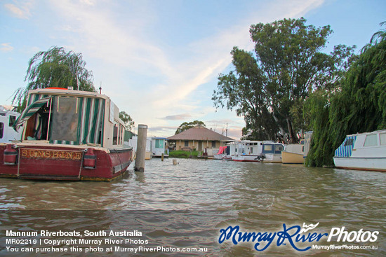 Mannum Riverboats, South Australia