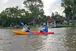 Kayaking around Mannum Canoe Trail