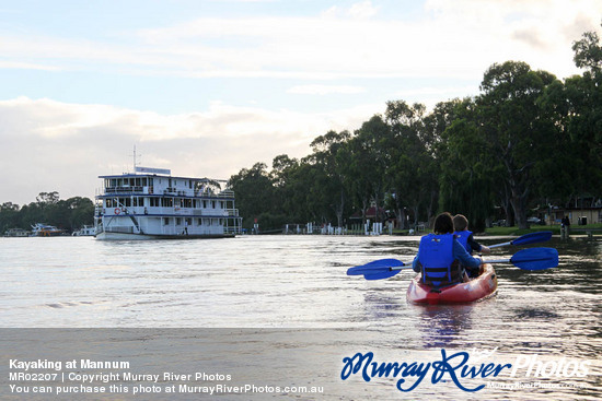 Kayaking at Mannum