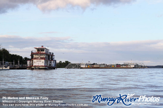 PS Marion and Mannum Ferry