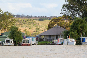 Milk boats at Mannum, Cowirra