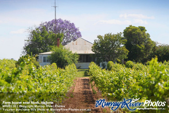 Farm house near Nyah, Victoria