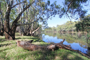 Murray River at Nyah, Victoria