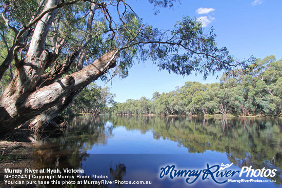 Murray River at Nyah, Victoria