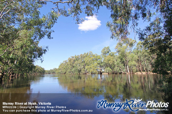 Murray River at Nyah, Victoria