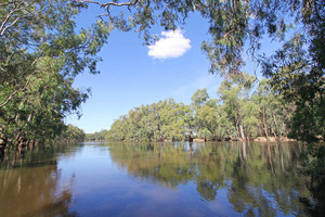 Murray River at Nyah, Victoria