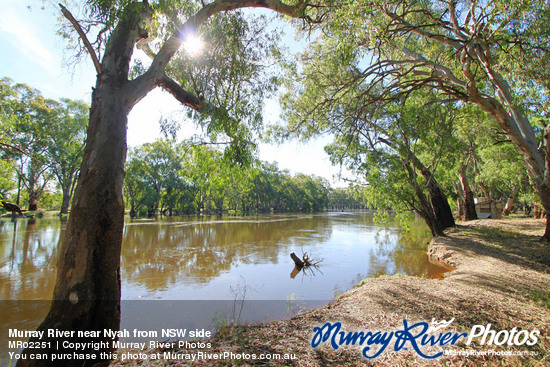 Murray River near Nyah from NSW side