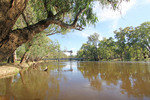 Nyah Bridge, Victoria