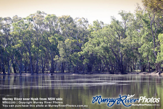 Murray River near Nyah from NSW side