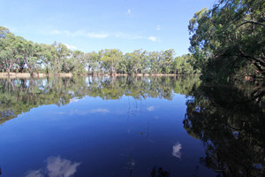 Murray River at Nyah, Victoria