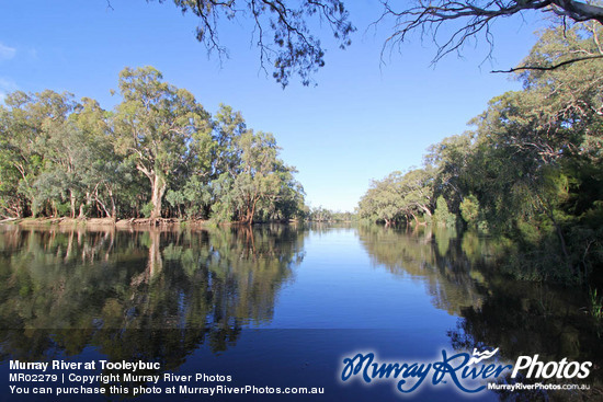 Murray River at Tooleybuc