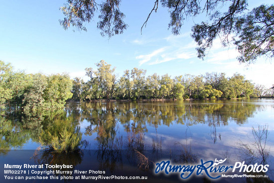 Murray River at Tooleybuc