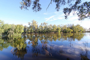 Murray River at Tooleybuc