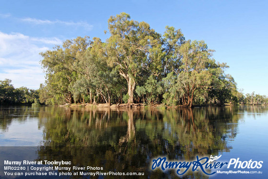 Murray River at Tooleybuc