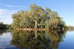 Murray River at Tooleybuc