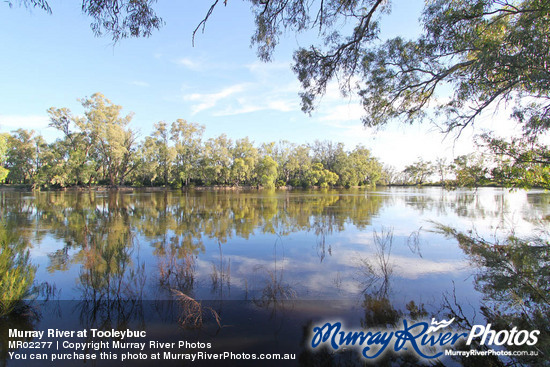 Murray River at Tooleybuc