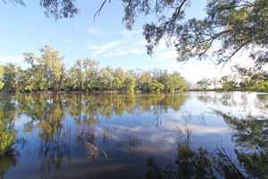 Murray River at Tooleybuc