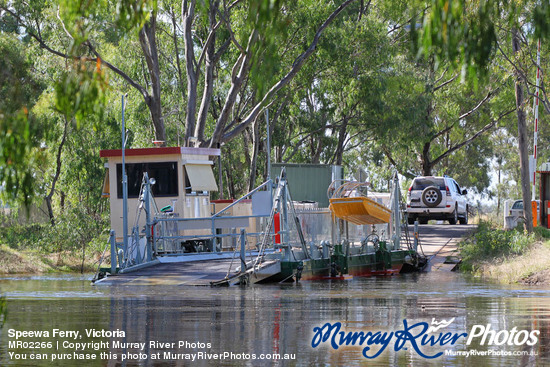 Speewa Ferry, Victoria