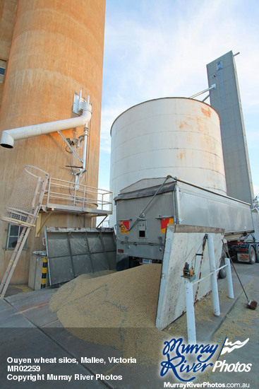 Ouyen wheat silos, Mallee, Victoria