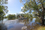 Speewa Ferry, Victoria