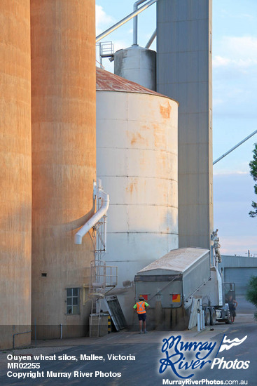 Ouyen wheat silos, Mallee, Victoria