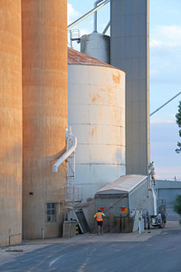 Ouyen wheat silos, Mallee, Victoria