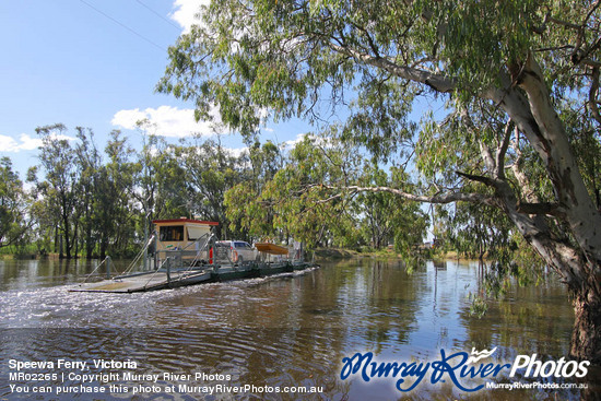 Speewa Ferry, Victoria