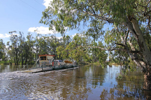 Speewa Ferry, Victoria