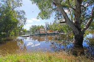 Speewa Ferry, Victoria