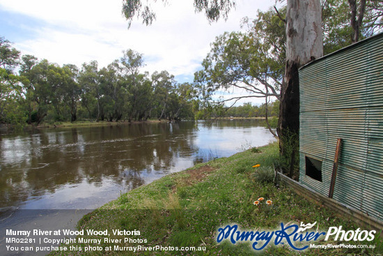 Murray River at Wood Wood, Victoria