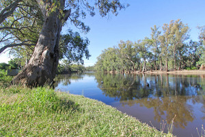 Murray River at Wood Wood, Victoria