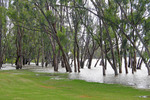 Loxton riverfront flooding, South Australia
