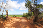 View across vineyards Murtho, Riverland