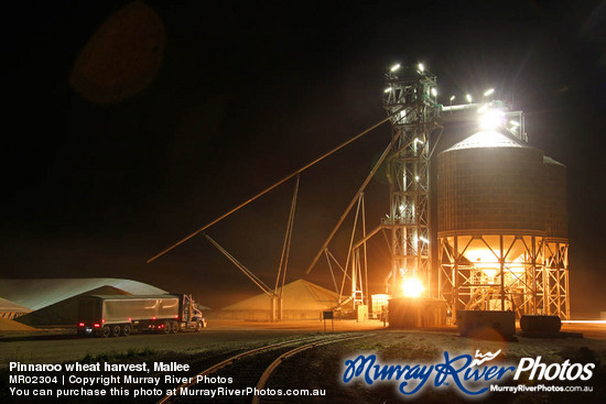 Pinnaroo wheat harvest, Mallee