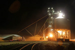 Pinnaroo wheat harvest, Mallee