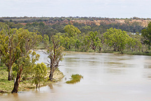 Murray River at Waikerie