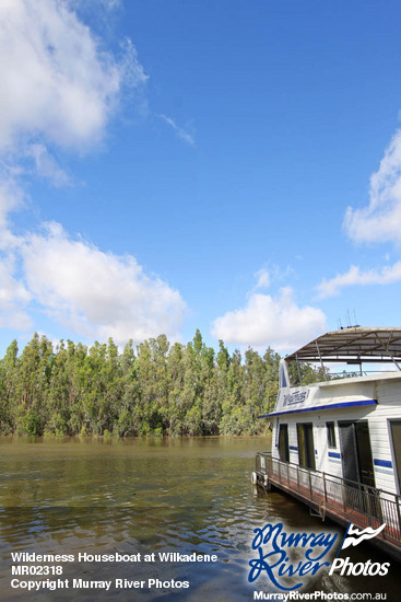 Wilderness Houseboat at Wilkadene