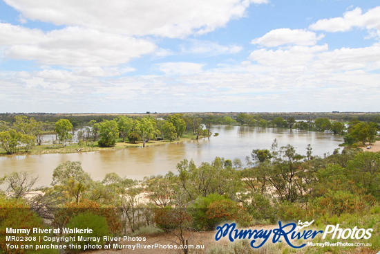 Murray River at Waikerie