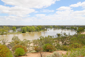 Murray River at Waikerie