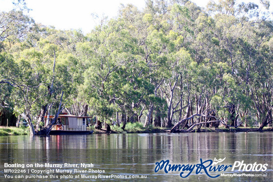 Boating on the Murray River, Nyah