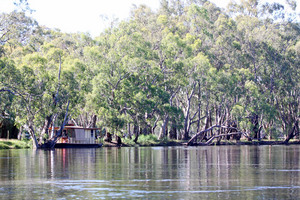 Boating on the Murray River, Nyah