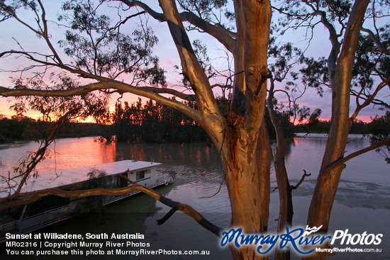 Sunset at Wilkadene, South Australia