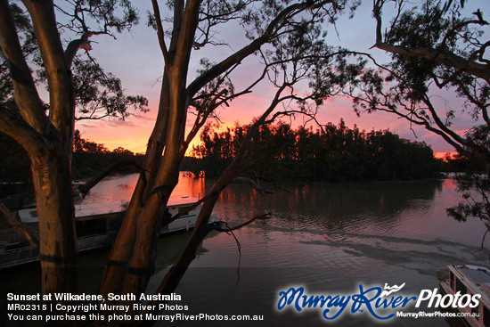 Sunset at Wilkadene, South Australia