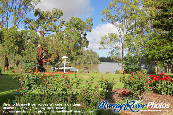 View to Murray River across Wilkadene gardens
