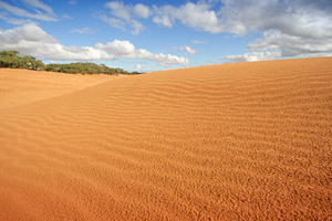 Perry Sandhills, Wentworth