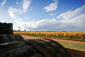 Chateau Mildura